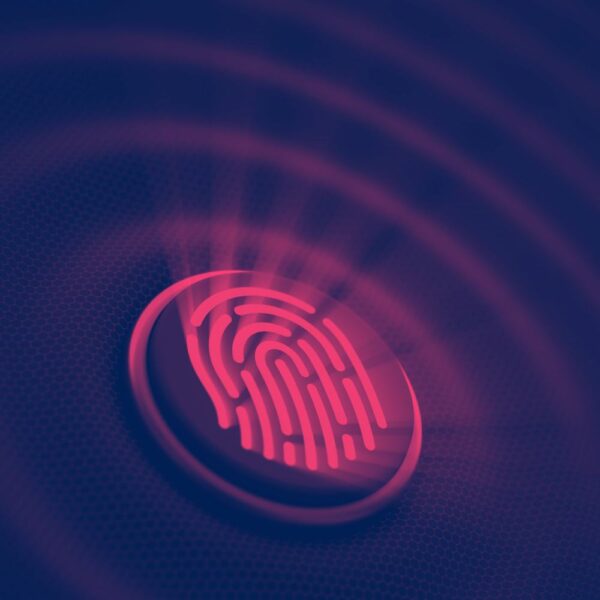 Delivery Phase 2 - Prudent Partners