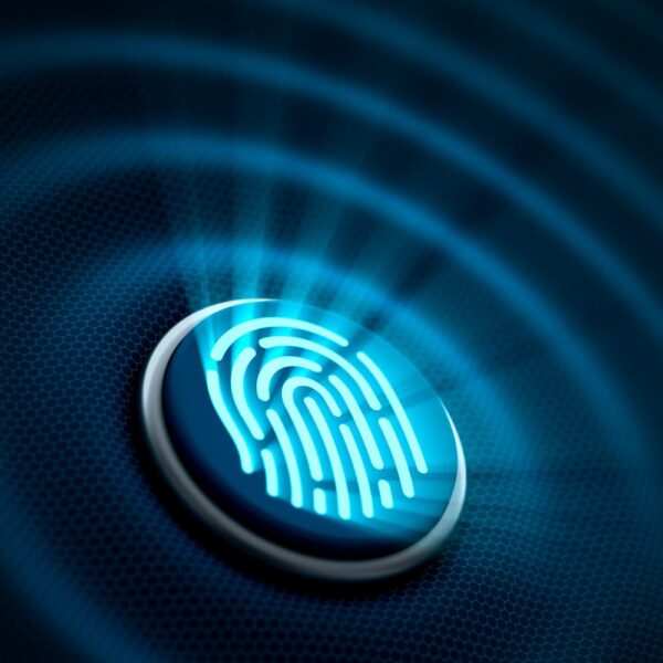 Delivery Phase - Prudent Partners