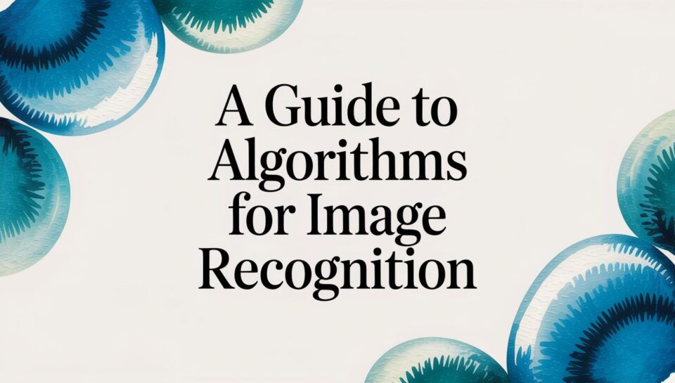algorithms-for-image-recognition-title-page.jpg